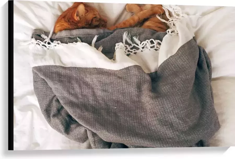Canvas Rode Kat onder Deken op Bed 90x60 cm Foto op Canvas Schilderij (Wanddecoratie op Canvas)