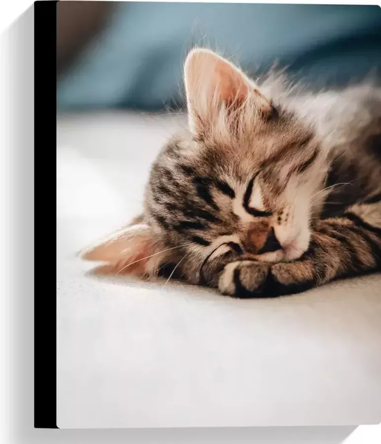 Canvas Rustende Kitten op Bank 30x40 cm Foto op Canvas Schilderij (Wanddecoratie op Canvas)