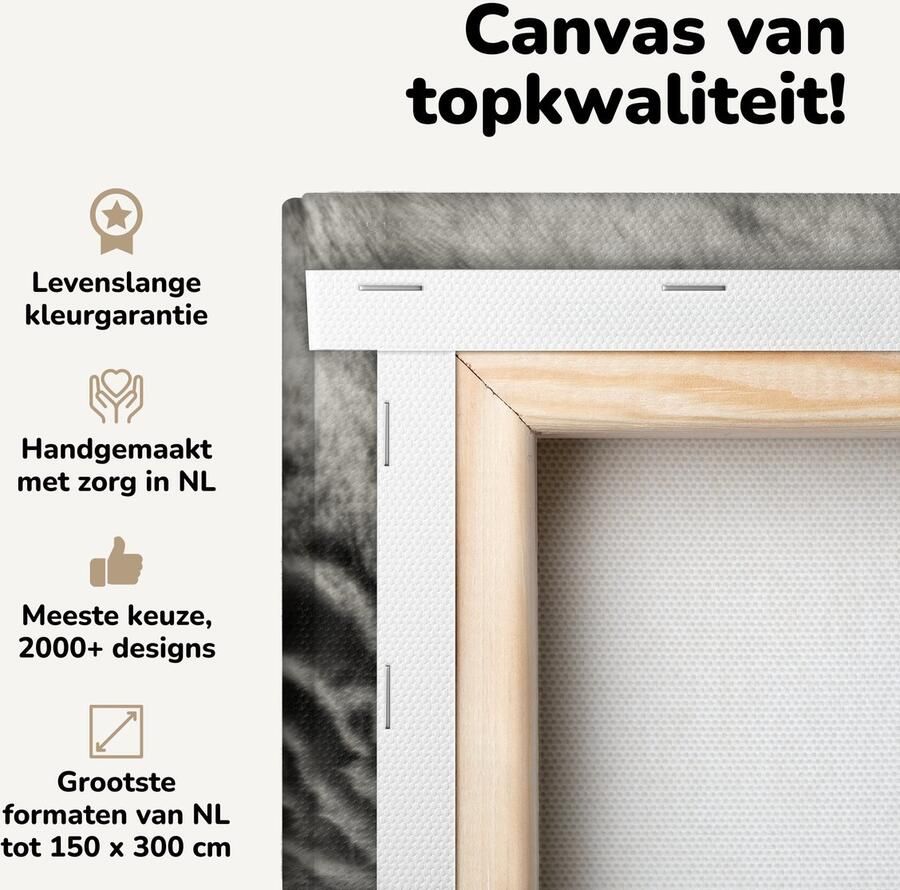 Canvas schilderij 120x80 cm Wanddecoratie Kat die op de bank ligt Muurdecoratie woonkamer Slaapkamer decoratie Kamer accessoires Schilderijen op canvas - Foto 2