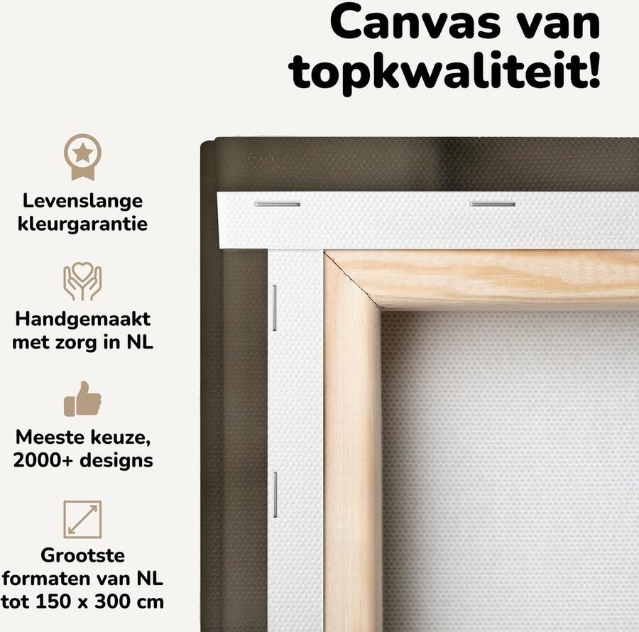 Canvas schilderij 120x80 cm Wanddecoratie Hond die ligt op de bank Muurdecoratie woonkamer Slaapkamer decoratie Kamer accessoires Schilderijen op canvas - Foto 2
