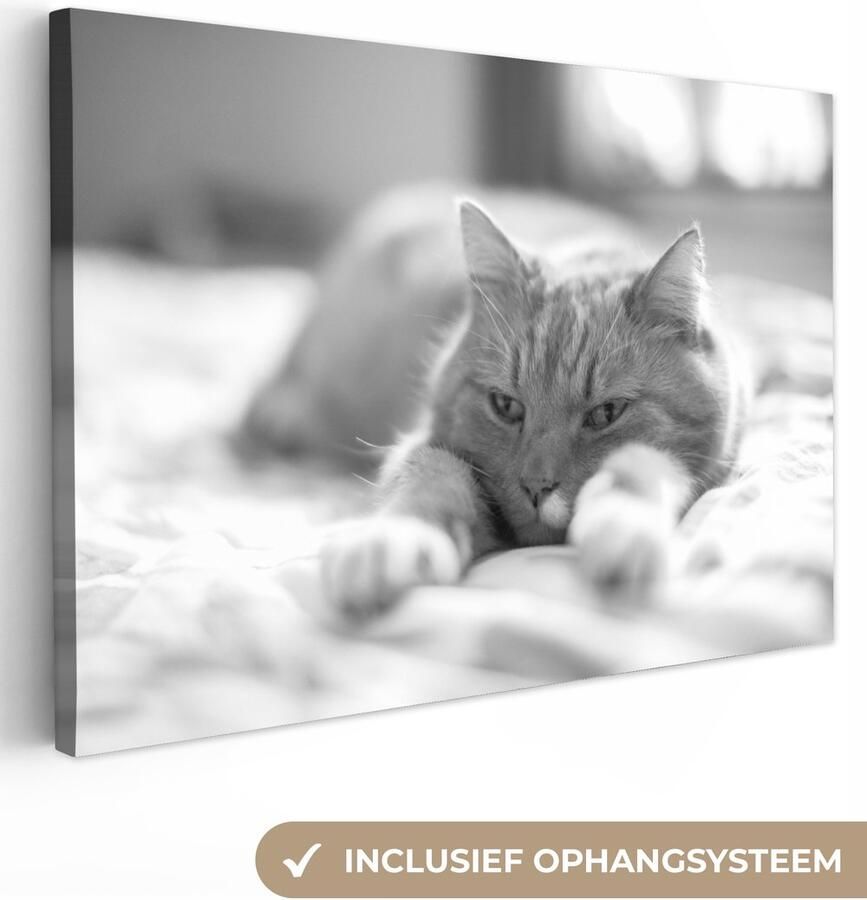 Canvas schilderij 120x80 cm Wanddecoratie Kat Bed Bedsprei Meisjes Kinderen Jongens Kind Muurdecoratie woonkamer Slaapkamer decoratie Kamer accessoires Schilderijen op canvas - Foto 2