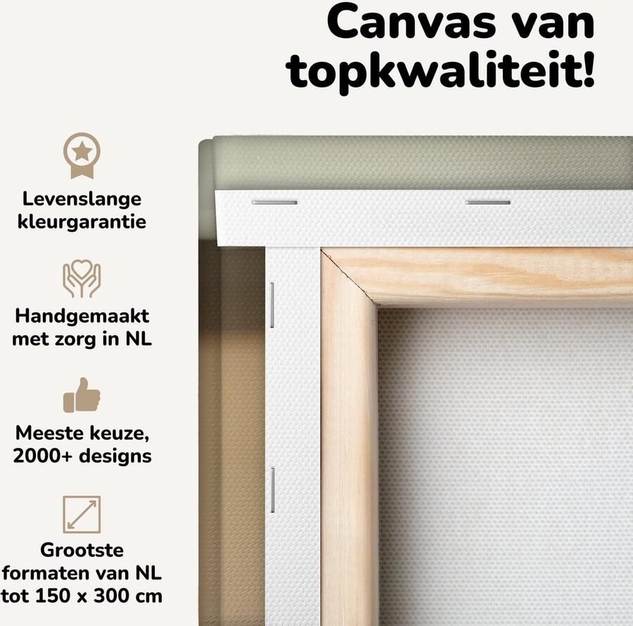 Canvas schilderij 120x80 cm Wanddecoratie Kat Spring Stoel Muurdecoratie woonkamer Slaapkamer decoratie Kamer accessoires Schilderijen op canvas - Foto 2