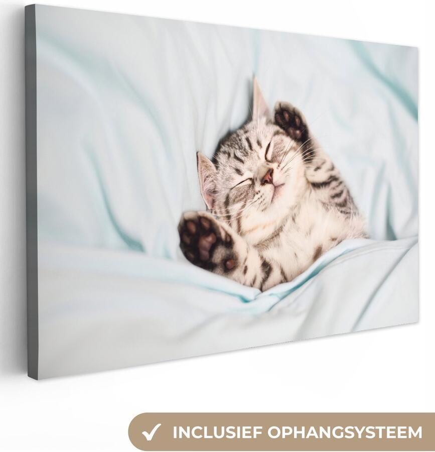 OneMillionCanvasses Canvas schilderij 140x90 cm Wanddecoratie Kitten Bed Poten Meisjes Kinderen Jongens Kind Muurdecoratie woonkamer Slaapkamer decoratie Kamer accessoires Schilderijen - Foto 2
