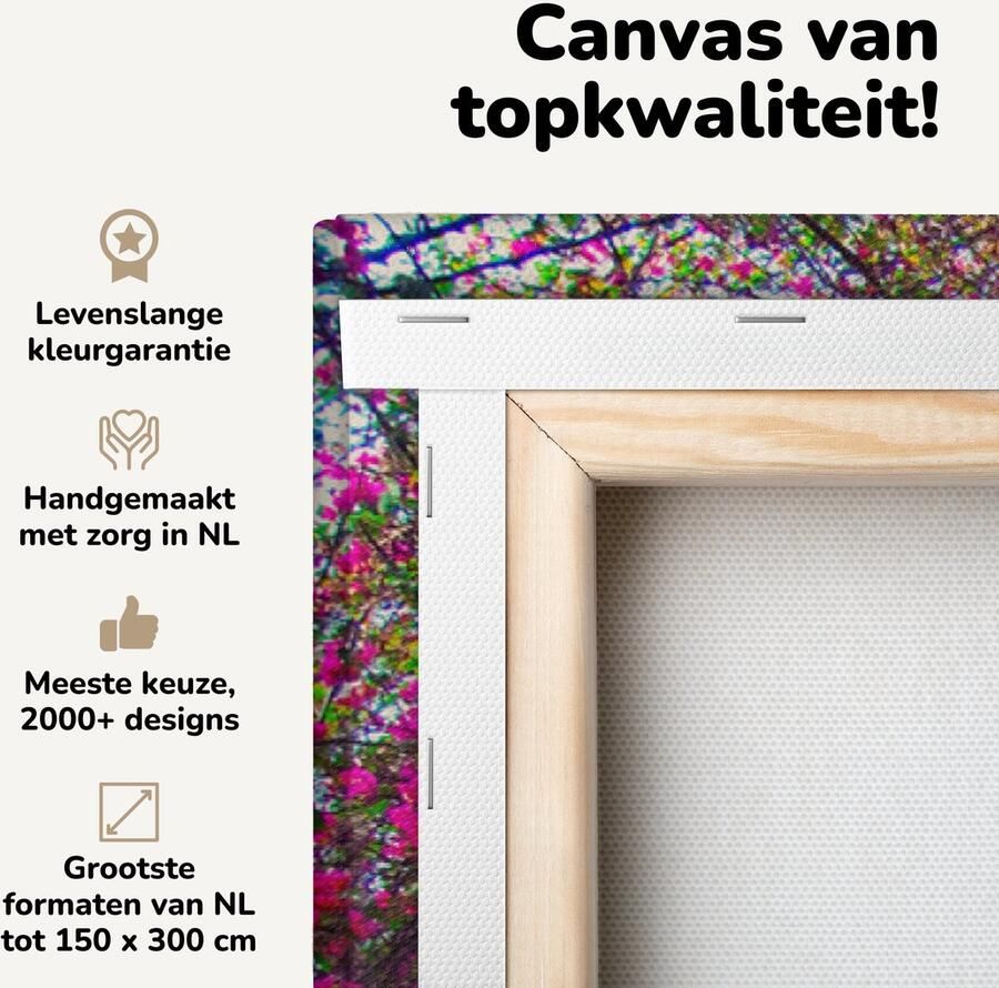 OneMillionCanvasses Canvas schilderij 180x120 cm Wanddecoratie Bank onder bloeiende bougainvillea boom in de Lodi Gardens in India Muurdecoratie woonkamer Slaapkamer decoratie Kamer accessoires Schilderijen - Foto 2