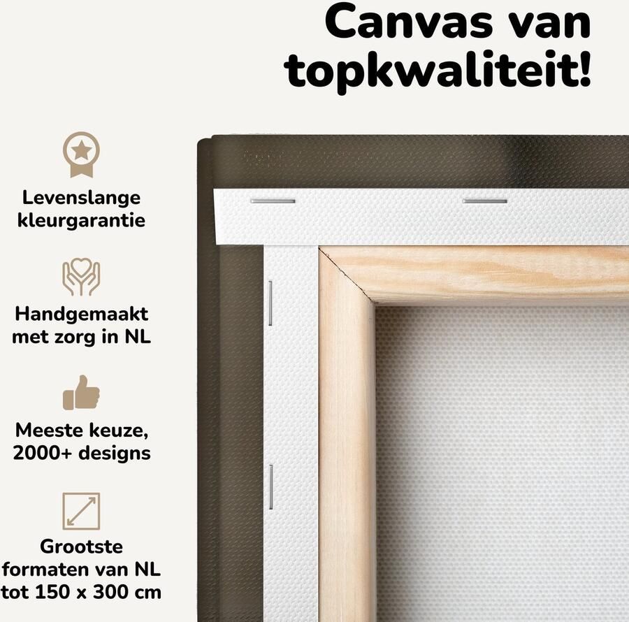 OneMillionCanvasses Canvas schilderij 180x120 cm Wanddecoratie Hond die ligt op de bank Muurdecoratie woonkamer Slaapkamer decoratie Kamer accessoires Schilderijen - Foto 2