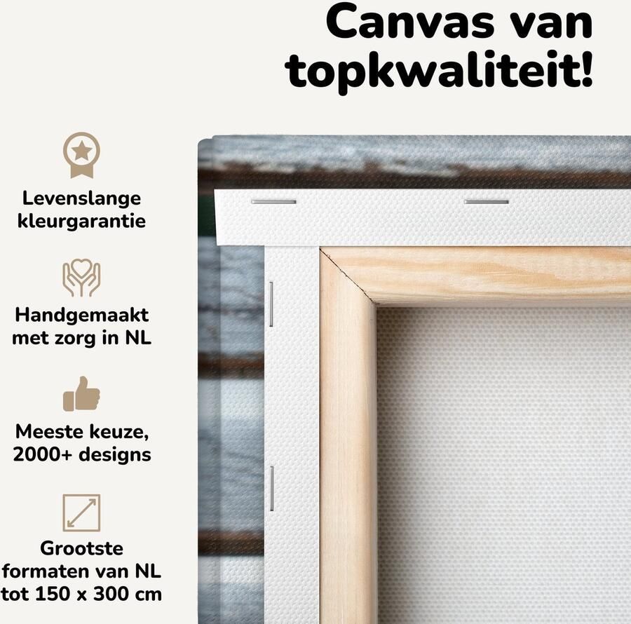 Canvas schilderij 20x20 cm Wanddecoratie Kat Slapen Bank Muurdecoratie woonkamer Slaapkamer decoratie Kamer accessoires Schilderijen op canvas - Foto 2