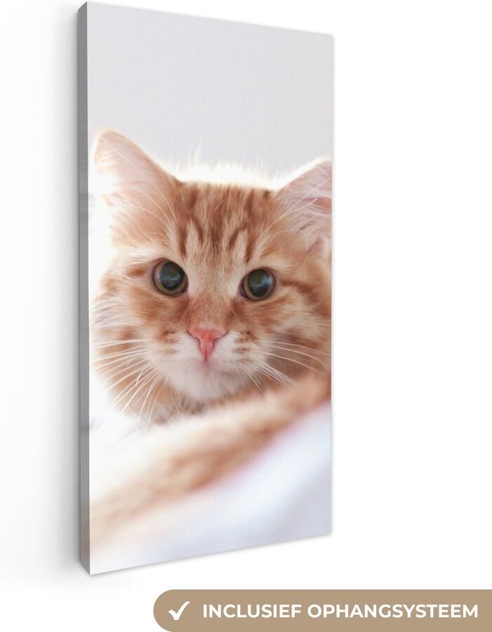 Canvas schilderij 40x80 cm Wanddecoratie Kat Rood Bed Meisjes Kinderen Jongens Kids Muurdecoratie woonkamer Slaapkamer decoratie Kamer accessoires Schilderijen op canvas - Foto 3
