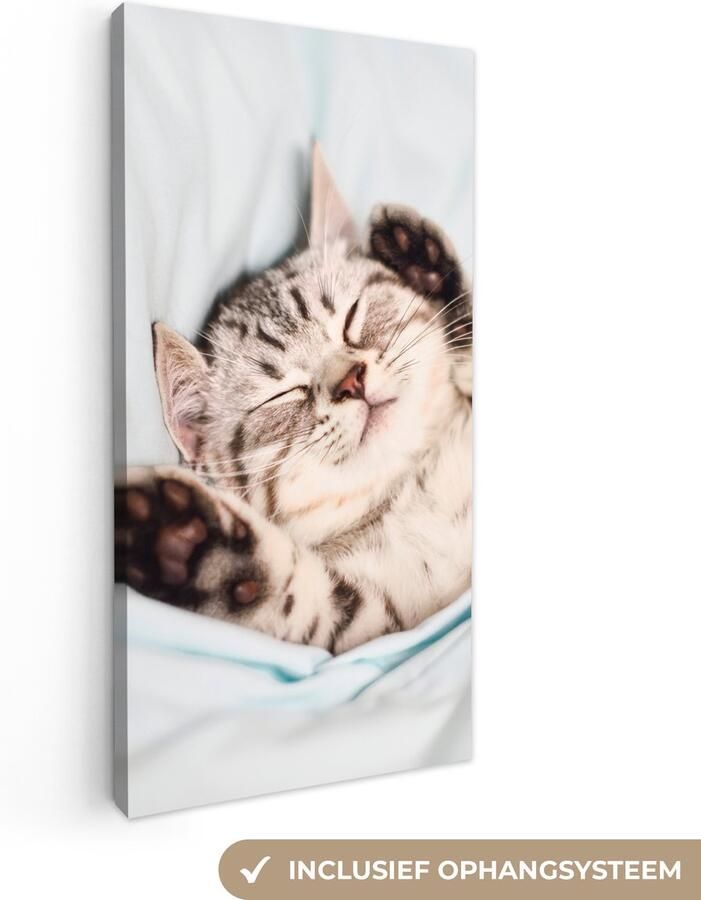 Canvas schilderij 40x80 cm Wanddecoratie Kitten Bed Poten Meisjes Kinderen Jongens Kind Muurdecoratie woonkamer Slaapkamer decoratie Kamer accessoires Schilderijen op canvas - Foto 2