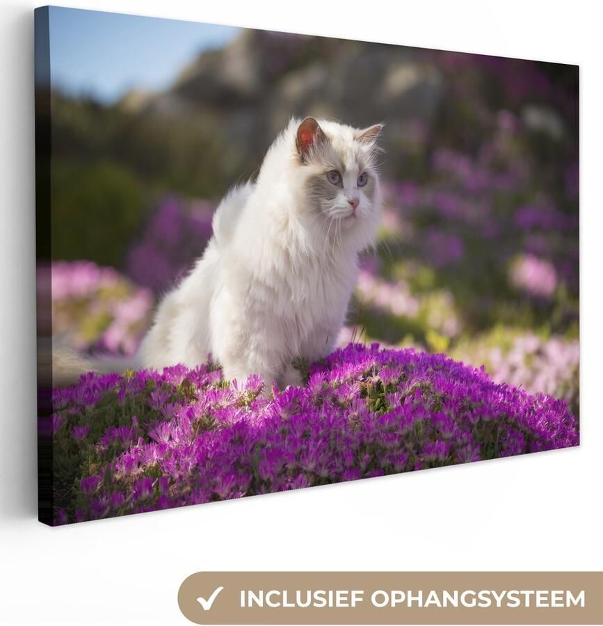 OneMillionCanvasses Canvas schilderij 180x120 cm Wanddecoratie Een witte ragdoll kat zit in een bed van roze bloemen Muurdecoratie woonkamer Slaapkamer decoratie Kamer accessoires Schilderijen - Foto 2