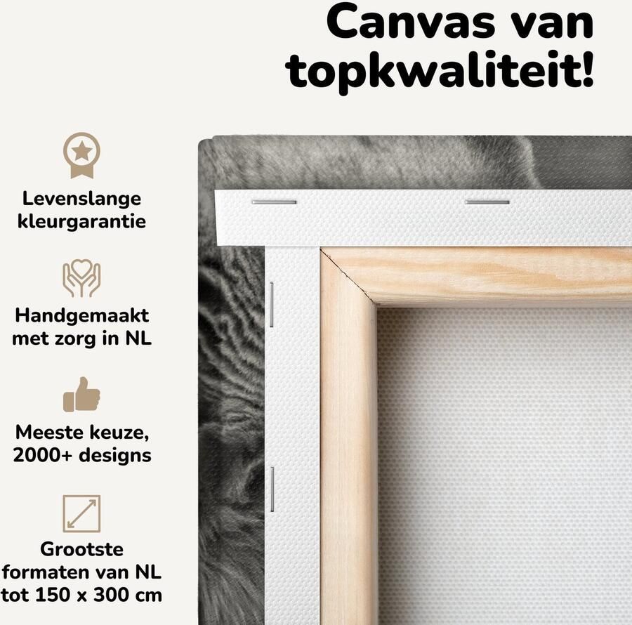 Canvas schilderij 30x20 cm Wanddecoratie Kat die op de bank ligt Muurdecoratie woonkamer Slaapkamer decoratie Kamer accessoires Schilderijen op canvas - Foto 2