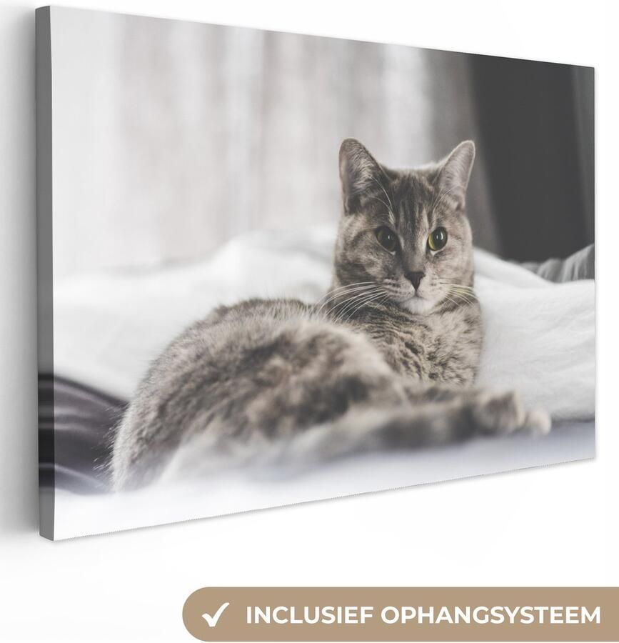 Canvas schilderij 30x20 cm Wanddecoratie Kat Lakens Bed Muurdecoratie woonkamer Slaapkamer decoratie Kamer accessoires Schilderijen op canvas - Foto 2