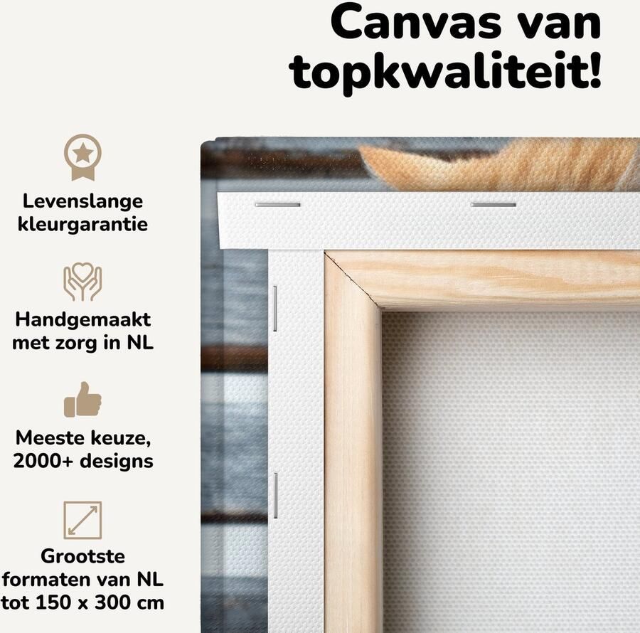 Canvas schilderij 40x20 cm Wanddecoratie Katten Bank Hout Muurdecoratie woonkamer Slaapkamer decoratie Kamer accessoires Schilderijen op canvas - Foto 2