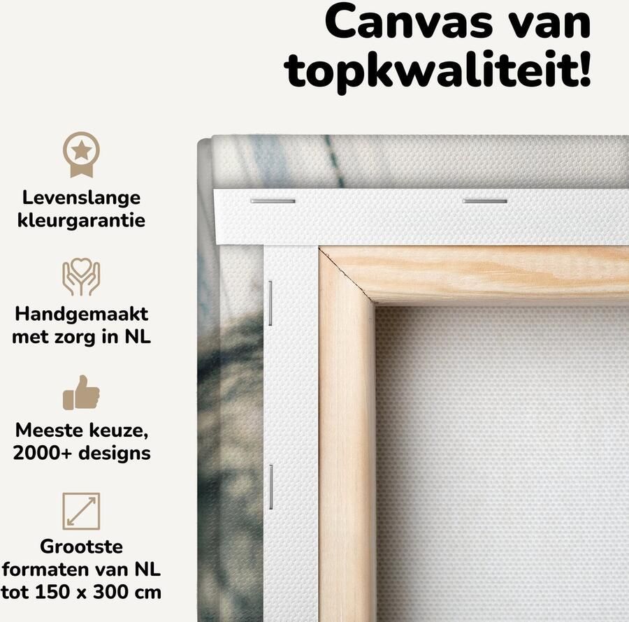 Canvas schilderij 40x20 cm Wanddecoratie Katten Bank Woonkamer Muurdecoratie woonkamer Slaapkamer decoratie Kamer accessoires Schilderijen op canvas - Foto 2