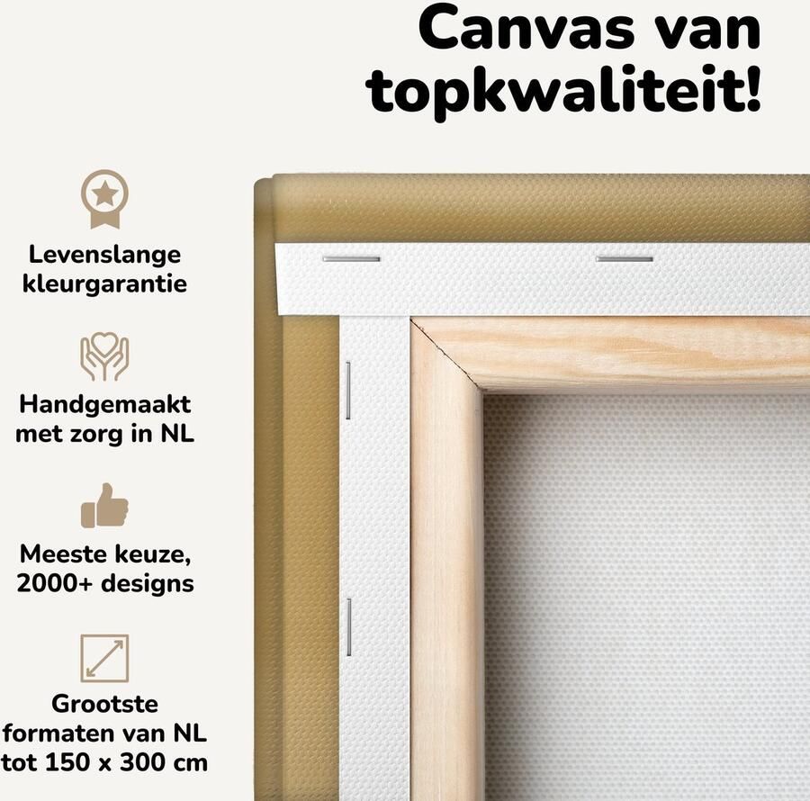 Canvas schilderij 40x80 cm Wanddecoratie Kat Spring Stoel Muurdecoratie woonkamer Slaapkamer decoratie Kamer accessoires Schilderijen op canvas - Foto 2