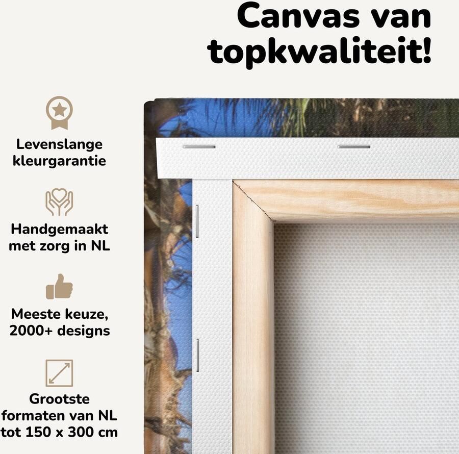 Canvas schilderij 50x50 cm Wanddecoratie Hangmat Zand Palmboom Muurdecoratie woonkamer Slaapkamer decoratie Kamer accessoires Schilderijen op canvas - Foto 2