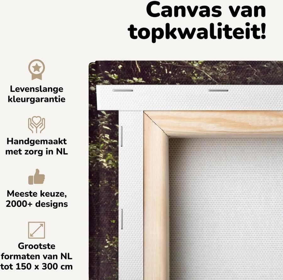 Canvas schilderij 50x50 cm Wanddecoratie Meisje Kat Tafel Muurdecoratie woonkamer Slaapkamer decoratie Kamer accessoires Schilderijen op canvas - Foto 2