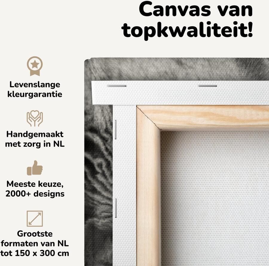 Canvas schilderij 60x40 cm Wanddecoratie Kat die op de bank ligt Muurdecoratie woonkamer Slaapkamer decoratie Kamer accessoires Schilderijen op canvas - Foto 2