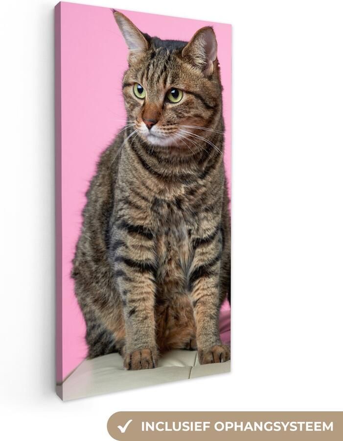 Canvas schilderij 40x80 cm Wanddecoratie Kat Roze Poef Meisjes Kinderen Meiden Kind Muurdecoratie woonkamer Slaapkamer decoratie Kamer accessoires Schilderijen op canvas - Foto 2