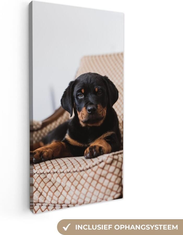 OneMillionCanvasses Canvas schilderij 80x160 cm Wanddecoratie Schattige Rottweiler puppy zit op een stoel Muurdecoratie woonkamer Slaapkamer decoratie Kamer accessoires Schilderijen - Foto 2