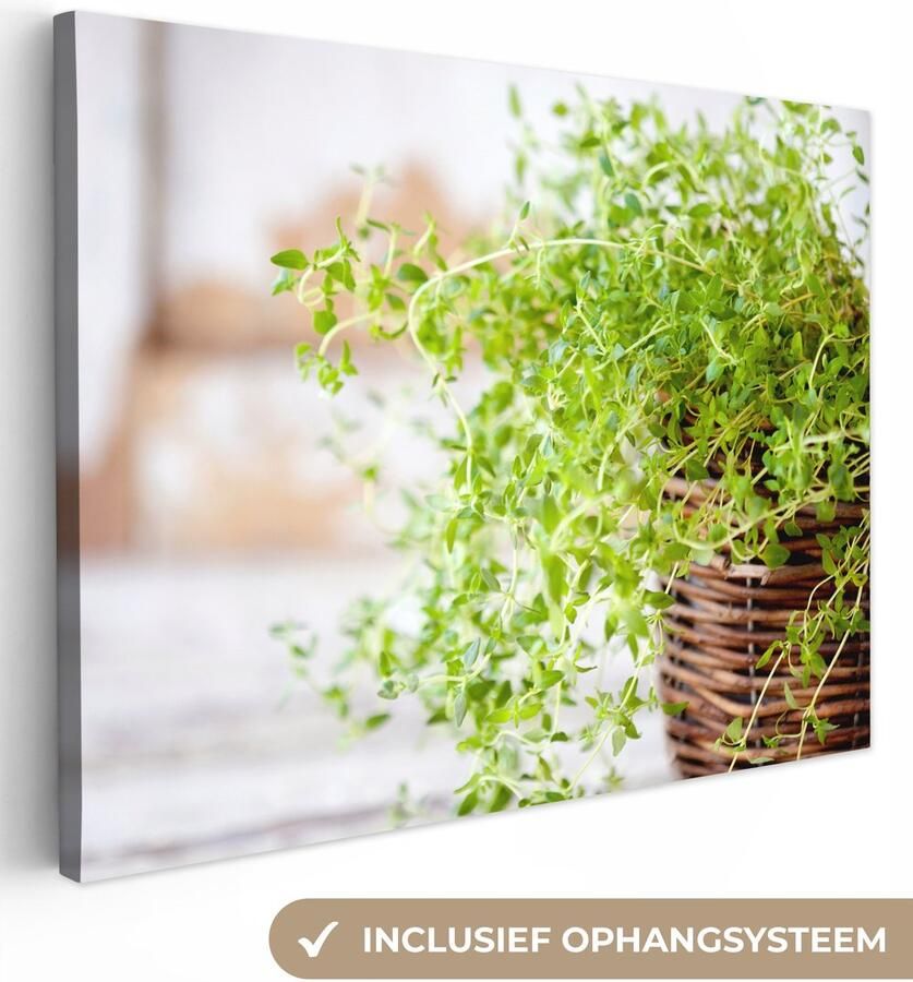 OneMillionCanvasses Canvas schilderij 160x120 cm Wanddecoratie Rieten mand met de lichtgroene tijm planten op een rustieke tafel Muurdecoratie woonkamer Slaapkamer decoratie Kamer accessoires Schilderijen - Foto 2
