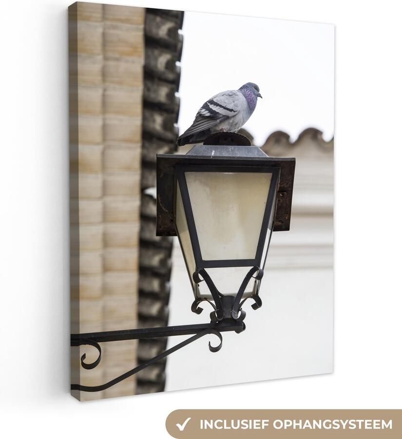 Canvas schilderij 30x40 cm Wanddecoratie Duif Lamp Muur Muurdecoratie woonkamer Slaapkamer decoratie Kamer accessoires Schilderijen op canvas - Foto 2