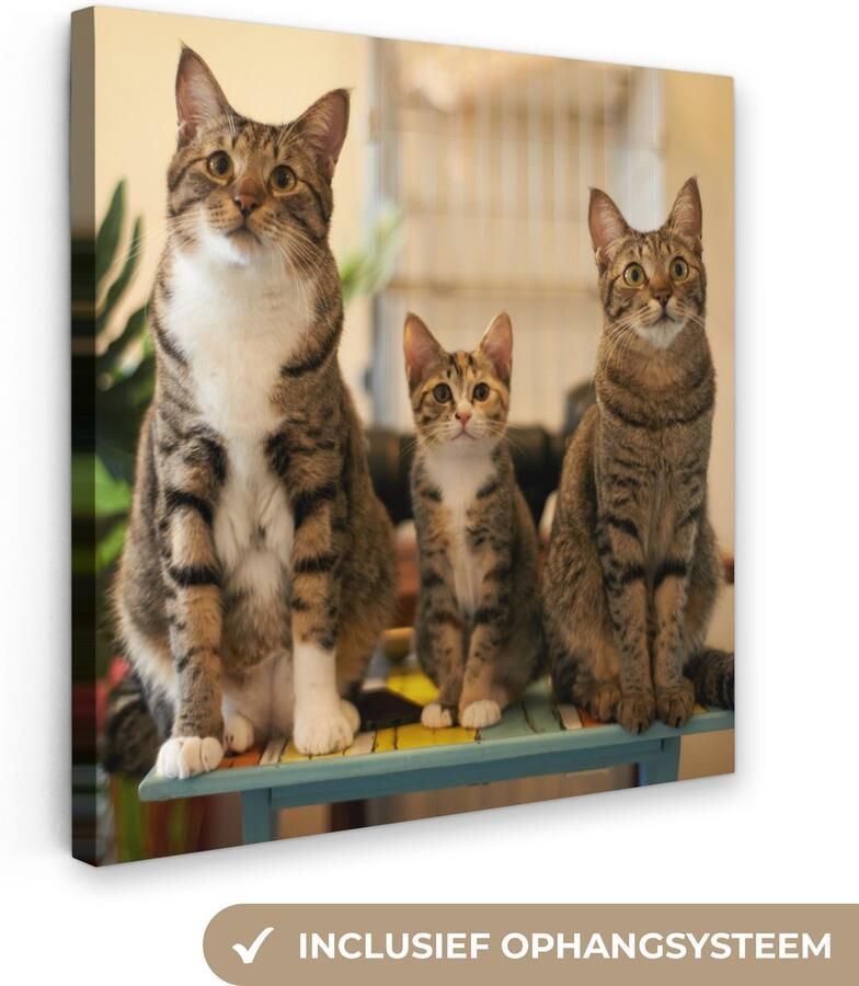 Canvas schilderij 90x90 cm Wanddecoratie Drie katten op kleine tafel Muurdecoratie woonkamer Slaapkamer decoratie Kamer accessoires Schilderijen op canvas - Foto 2