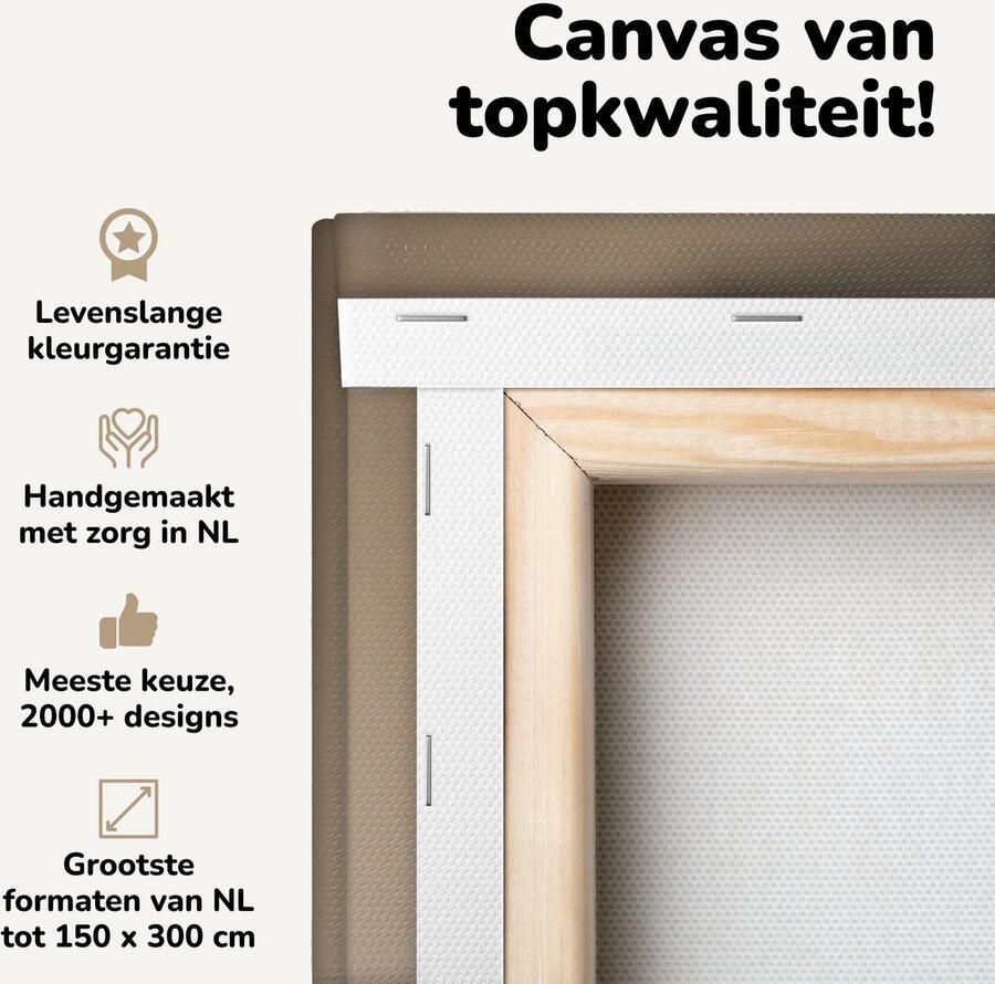 Canvas schilderij 90x90 cm Wanddecoratie Kat Bank Oranje Muurdecoratie woonkamer Slaapkamer decoratie Kamer accessoires Schilderijen op canvas - Foto 2