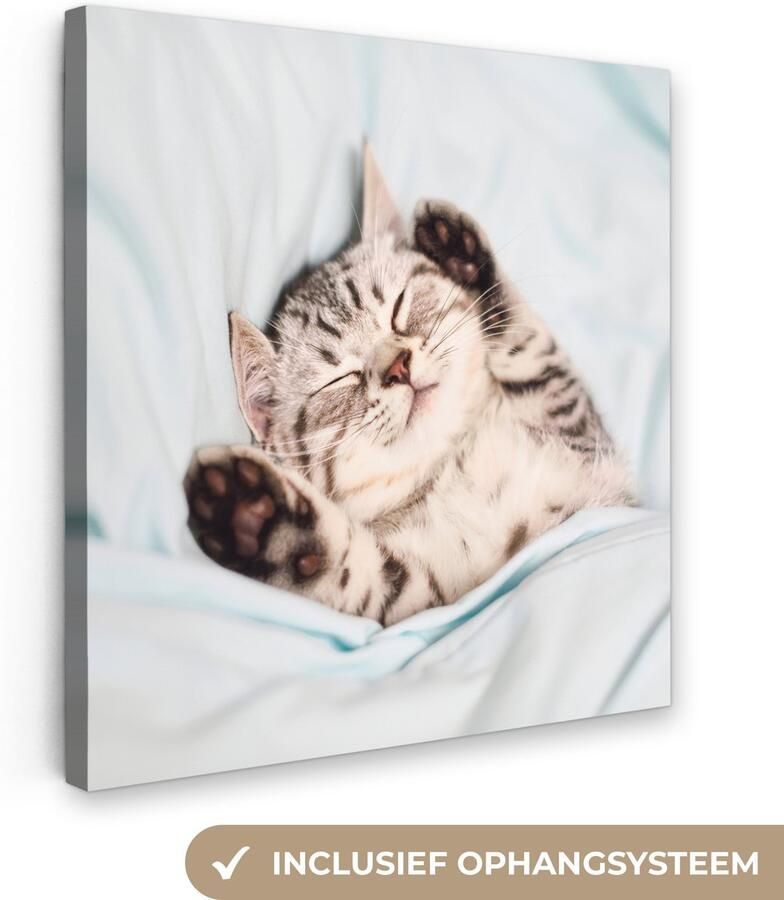 Canvas schilderij 20x20 cm Wanddecoratie Kitten Bed Poten Meisjes Kinderen Jongens Kind Muurdecoratie woonkamer Slaapkamer decoratie Kamer accessoires Schilderijen op canvas - Foto 2