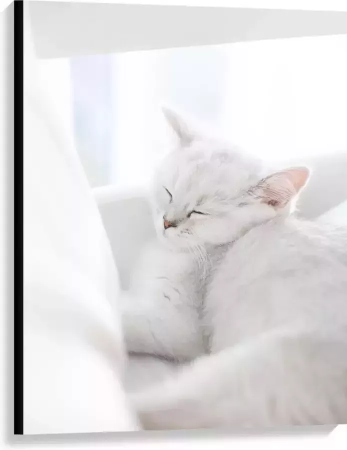 Canvas Witte Kat slapend tegen Witte Bank 75x100 cm Foto op Canvas Schilderij (Wanddecoratie op Canvas)