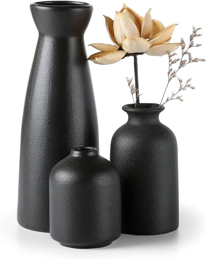CEMABT Zwarte keramische vazenset van 3 kleine bloemenvazen ​​ter decoratie moderne rustieke boerderijhuisdecoratie decoratieve vazen ​​voor pampasgras en gedroogde bloemen ideeënplank tafel boekenplank schoorsteenmantel