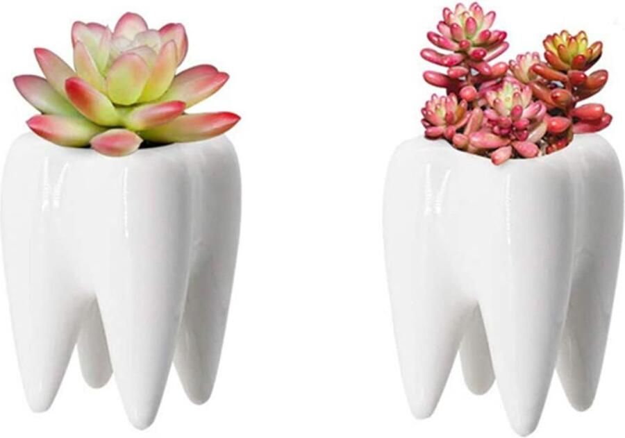 Ceramic Flower Pot 2Pcs Succulents Cactus Potten en Pennenbak voor Bureau Decoratie (Wit)