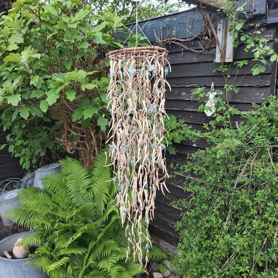 Coco tusk gebleekt en blauw glas kroonluchter 60cm