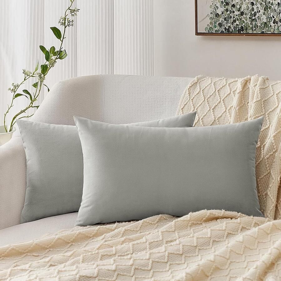 Cushion Cover 40 x 60 cm Grijze Set van 2 Velvet Kussenslopen Decoratieve Kussens Sierkussens voor Bank en Slaapkamer