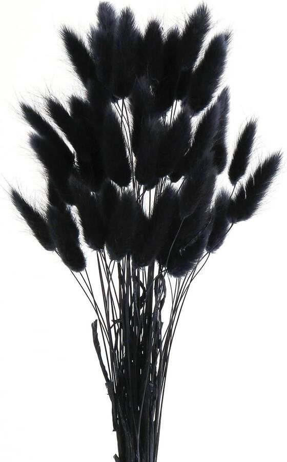 Decoratie Pampas Gras Gedroogd Zwart 50 Stuks voor Woonkamer en Bruiloft Boho Bloemen en Tafel Decoratie Rustieke Boerderij Feest Decoratie Thuis