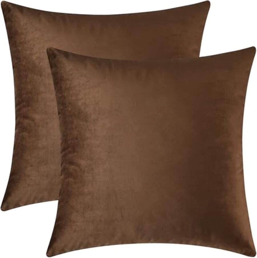Decoratieve Fluwelen Kussenslopen voor Bank en Bed Set van 2 Bruin 22 x 22 Inch