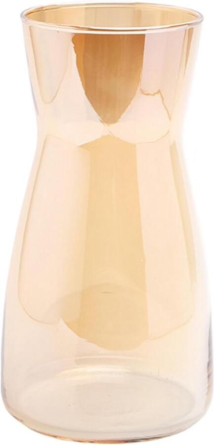 Decoratieve glazen vaas voor bloemen 20CM hoog moderne en elegante tafel decoratie