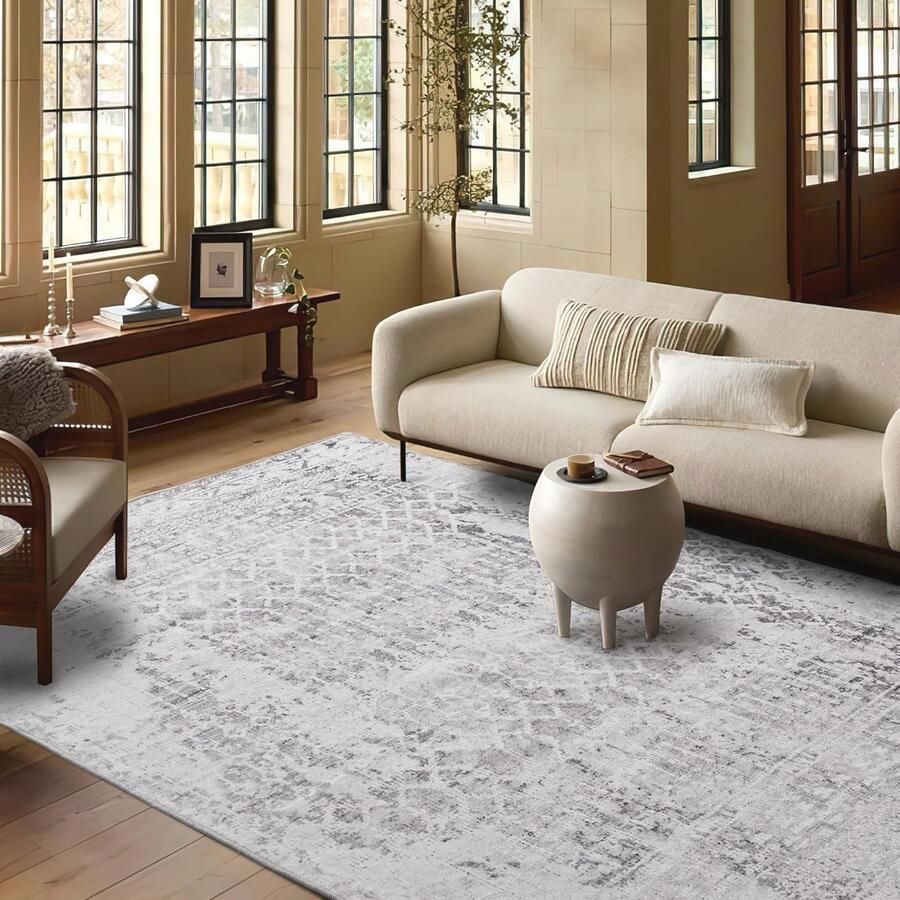 Tapijtwasser Vlekkenreiniger voor Huisdieren Ideaal voor Tapijt Vloerkleden Meubels en Auto's Krachtige 1300W Motor