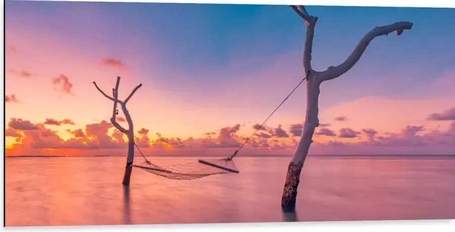 Dibond Hangmat tussen Kale Takken in de Zee tijdens Zonsondergang 100x50 cm Foto op Aluminium (Met Ophangsysteem)