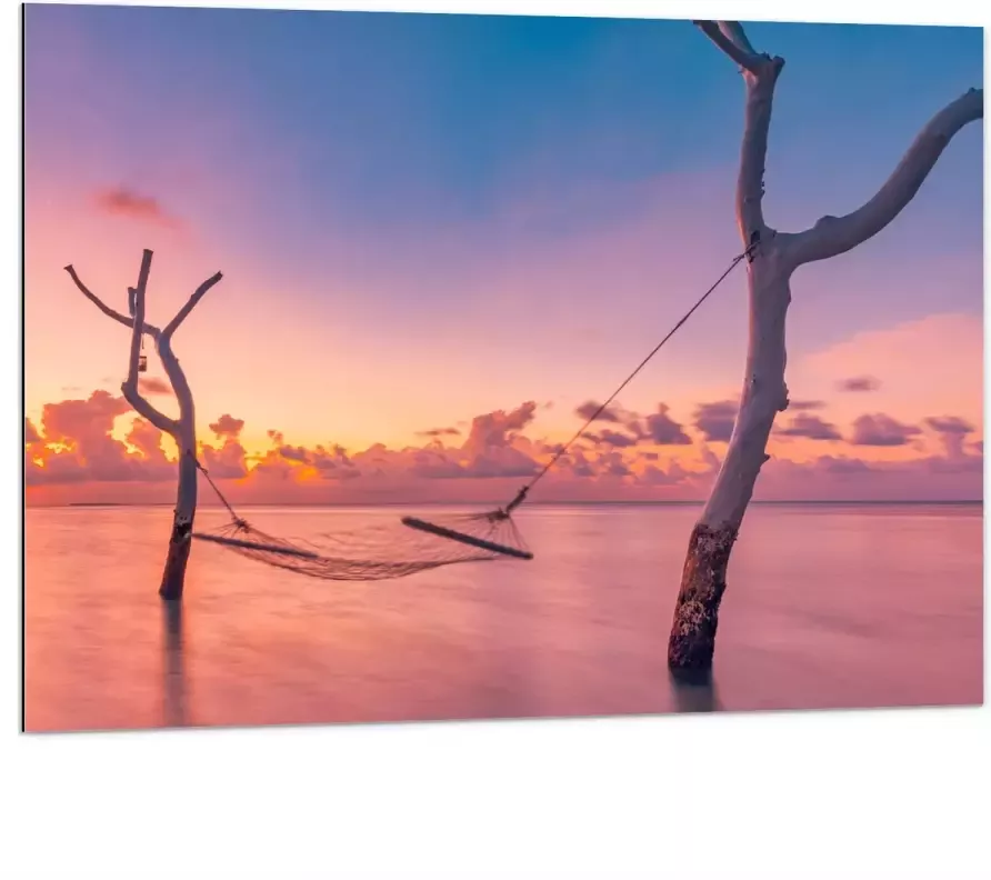 Dibond Hangmat tussen Kale Takken in de Zee tijdens Zonsondergang 100x75 cm Foto op Aluminium (Met Ophangsysteem)