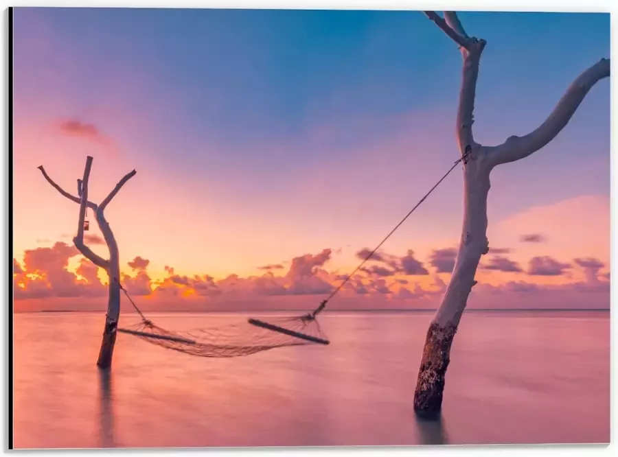 Dibond Hangmat tussen Kale Takken in de Zee tijdens Zonsondergang 40x30 cm Foto op Aluminium (Met Ophangsysteem)