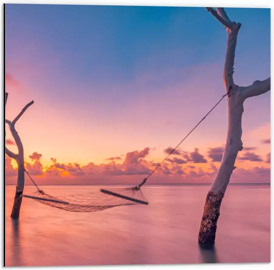 Dibond Hangmat tussen Kale Takken in de Zee tijdens Zonsondergang 50x50 cm Foto op Aluminium (Wanddecoratie van metaal)
