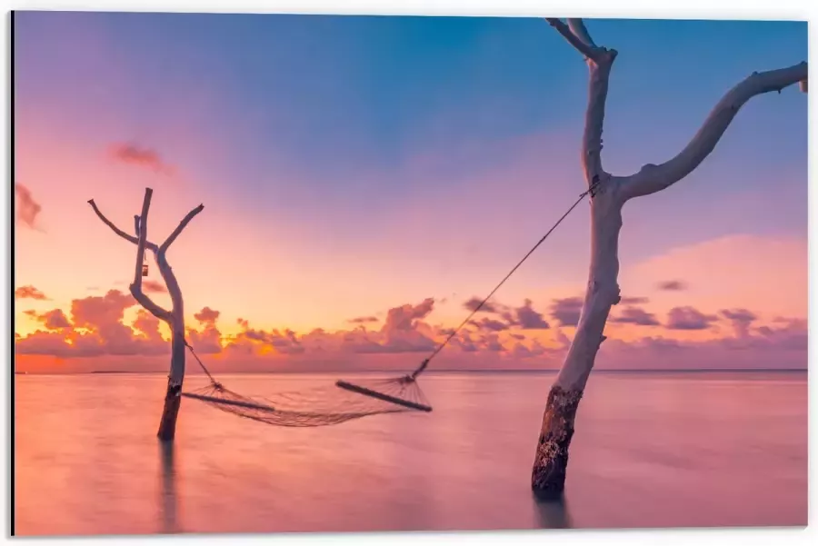 Dibond Hangmat tussen Kale Takken in de Zee tijdens Zonsondergang 60x40 cm Foto op Aluminium (Met Ophangsysteem)