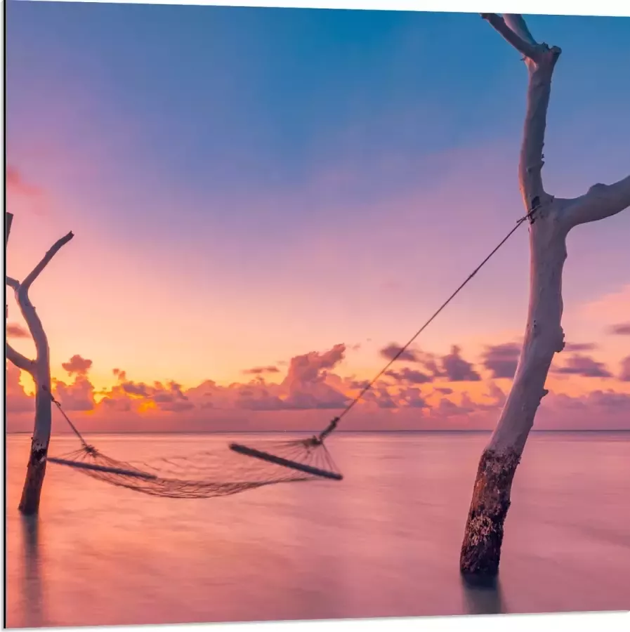 Dibond Hangmat tussen Kale Takken in de Zee tijdens Zonsondergang 80x80 cm Foto op Aluminium (Met Ophangsysteem)