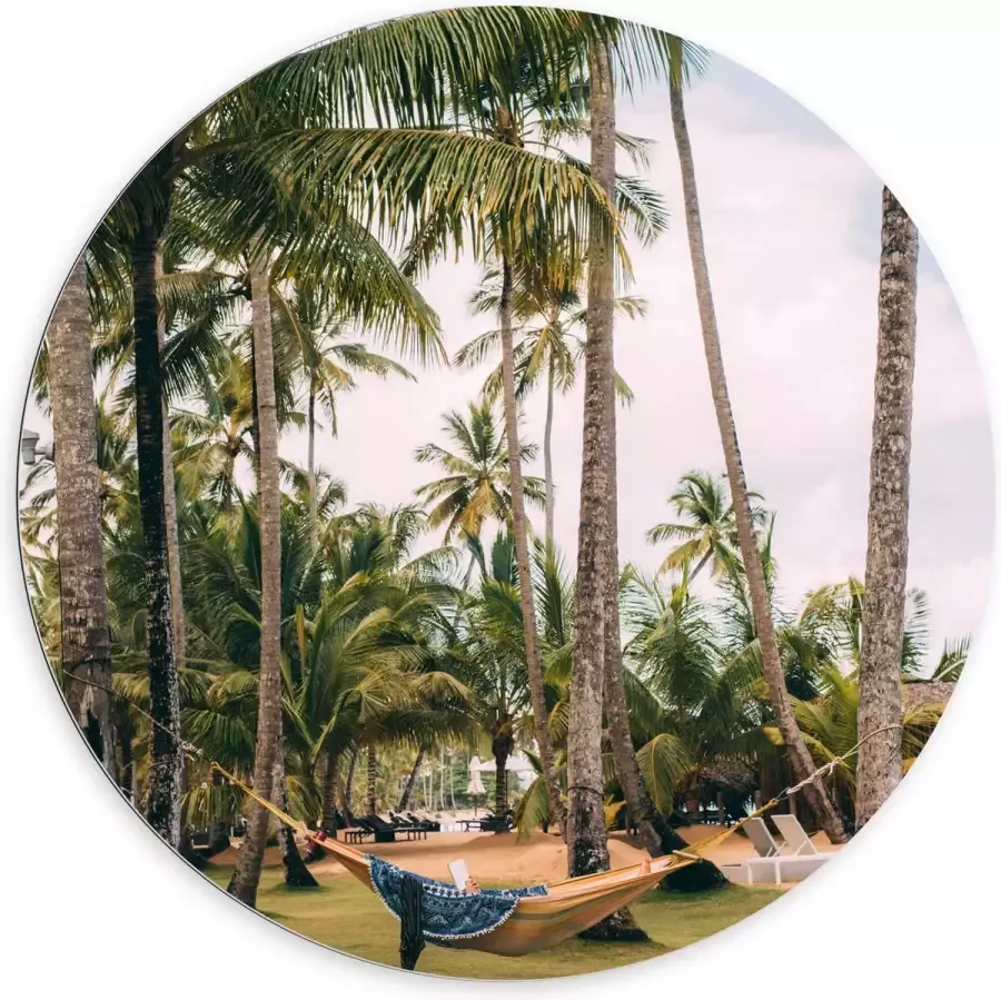 Dibond Muurcirkel Hangmat tussen Palmbomen 100x100 cm Foto op Aluminium Muurcirkel (met ophangsysteem)
