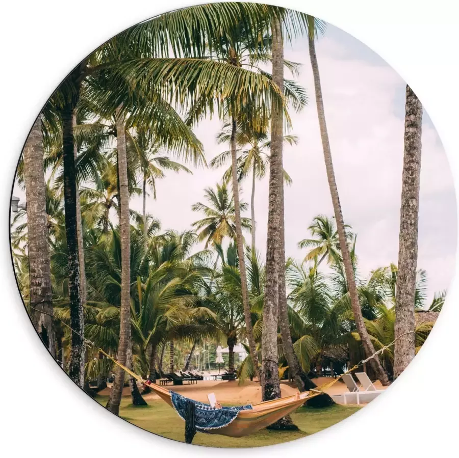 Dibond Muurcirkel Hangmat tussen Palmbomen 60x60 cm Foto op Aluminium Muurcirkel (met ophangsysteem)