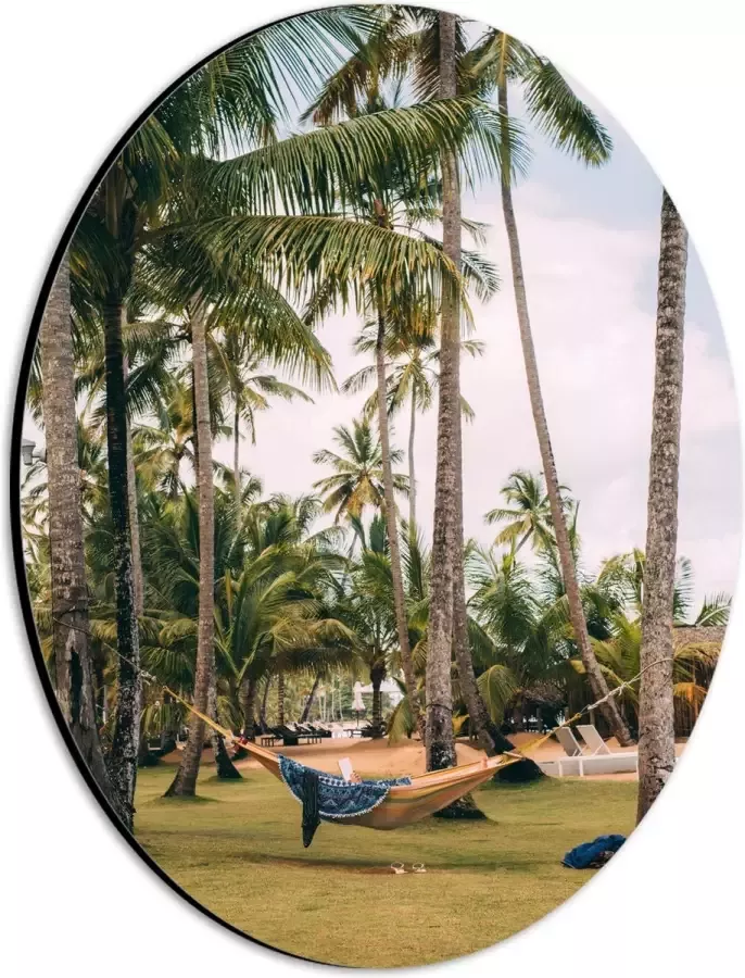 Dibond Ovaal Hangmat tussen Palmbomen 21x28 cm Foto op Ovaal (Met Ophangsysteem)