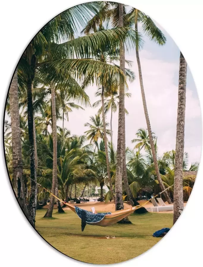 Dibond Ovaal Hangmat tussen Palmbomen 42x56 cm Foto op Ovaal (Met Ophangsysteem)