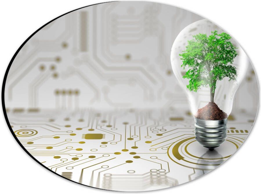 Dibond Ovaal Lamp Boompje Groen Technologie 28x21 cm Foto op Ovaal (Met Ophangsysteem)