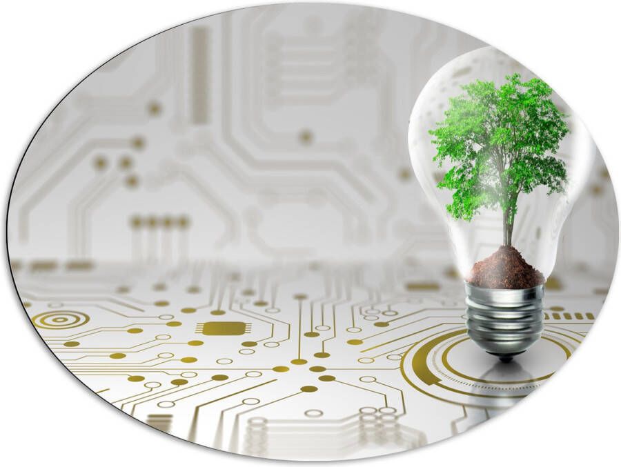 Dibond Ovaal Lamp Boompje Groen Technologie 96x72 cm Foto op Ovaal (Met Ophangsysteem)