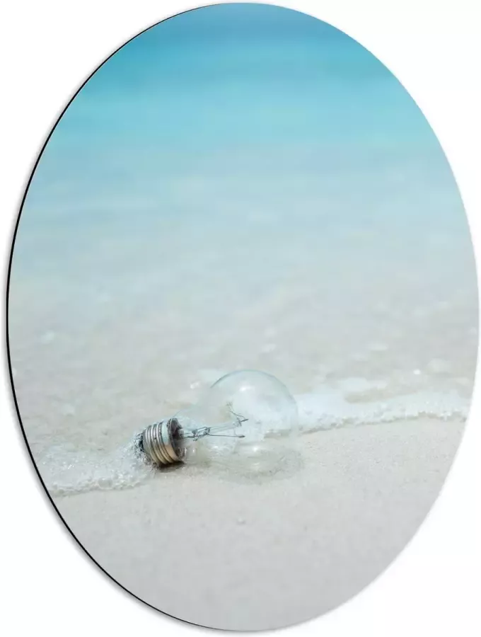 Dibond Ovaal Lamp op het Strand 51x68 cm Foto op Ovaal (Met Ophangsysteem)